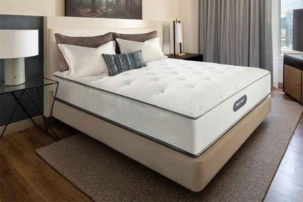 Colchón de espuma viscoelástica premium para un sueño profundo - SUNSGOODS - SUNSGOODS Colchón de espuma viscoelástica de primera calidad para un sueño profundo.