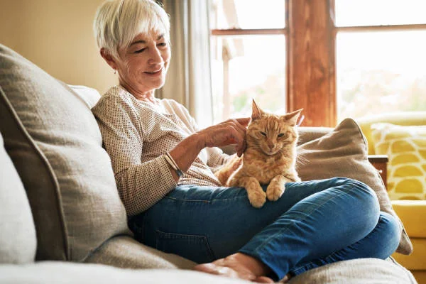 Mujer mayor acariciando a un gato - SUNSGOODS - SUNSGOODS Mujer mayor acariciando a un gato
